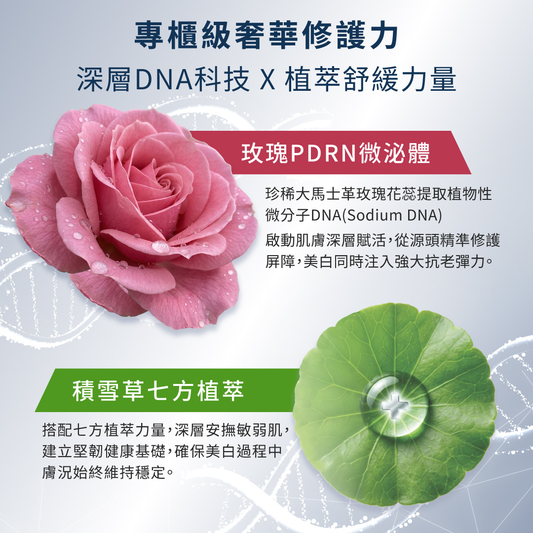 德美凱極緻C精華具備專櫃級奢華修護力,結合玫瑰PDRN微泌體深層賦活抗老,與積雪草七方植萃安撫敏弱肌,穩固健康屏障